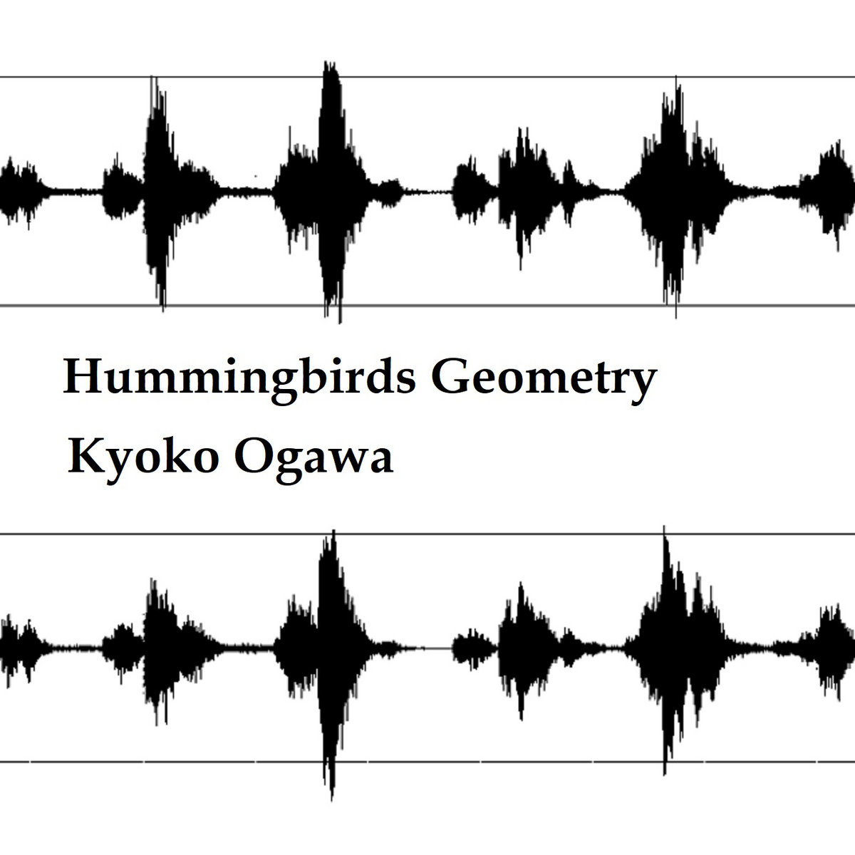 Hummingbird Geometry Hummingbirds Geometry | Kyoko Ogawa | 小川京子 OGAWA Kyoko