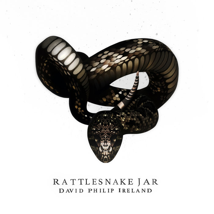 Philip Rattle Rattlesnake Jar | David Philip Ireland