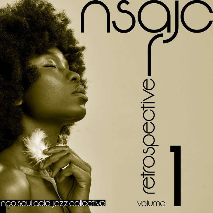 Retrospective, Vol. 1 | Neo Soul Acid Jazz Collective