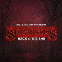 STRANGERS: Back To The Lab [Instrumentals] cover art