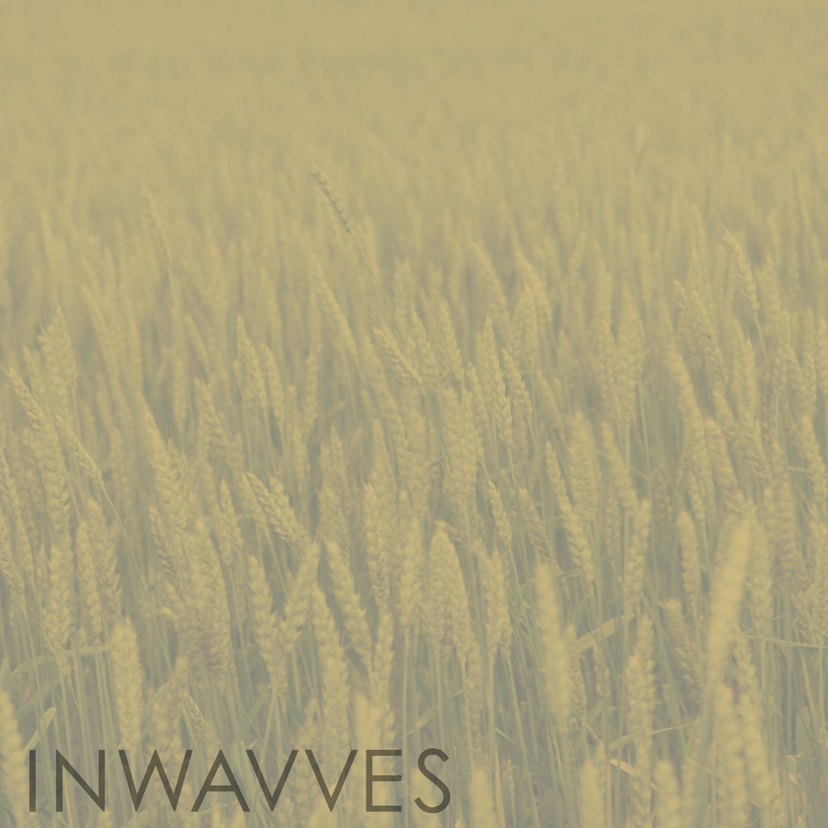 Golden Rows cover