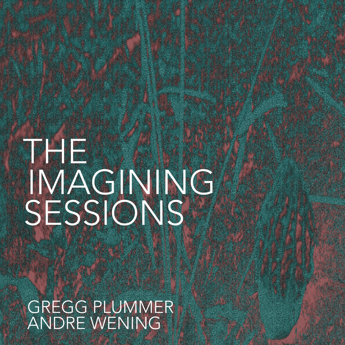 The Imagining Sessions | Gregg Plummer and Andre Wening | Gregg Plummer