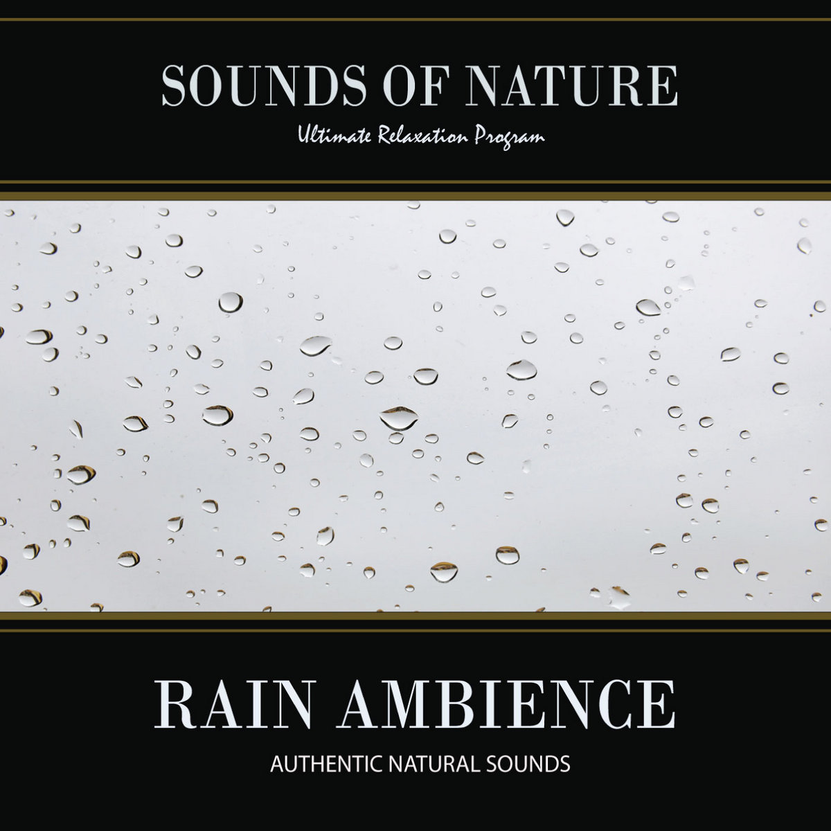 Rain Ambience (Nature Sounds) Relaxing Sounds of Nature Nature Sounds (Relaxing Sounds of