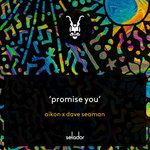 Aikon x Dave Seaman - Promise You - Selador