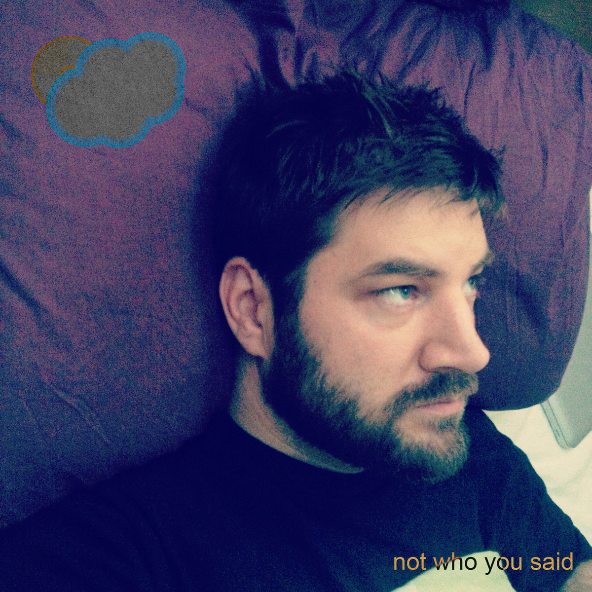 Not Who You Said cover