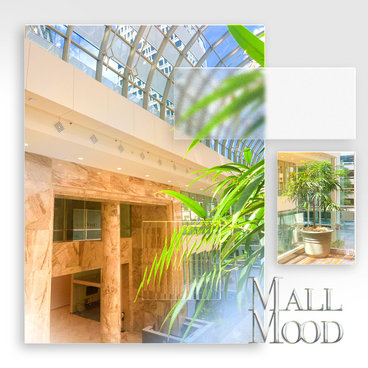 Mall Mood main photo