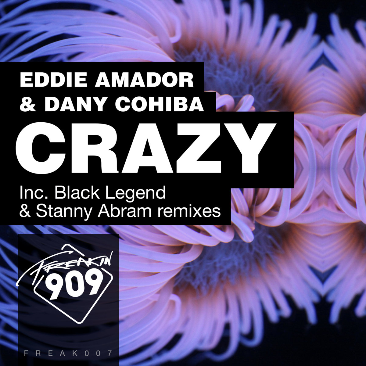 Eddie Amador & Dany Cohiba - Crazy (Stanny Abram Space Funk Mix