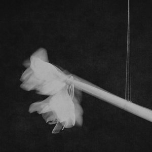 Trentemøller — A Different Light