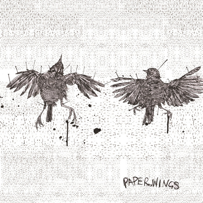 Paper Wings Paper Wings