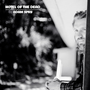 Hotel Of The Dead cover