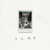 junk Cover Art