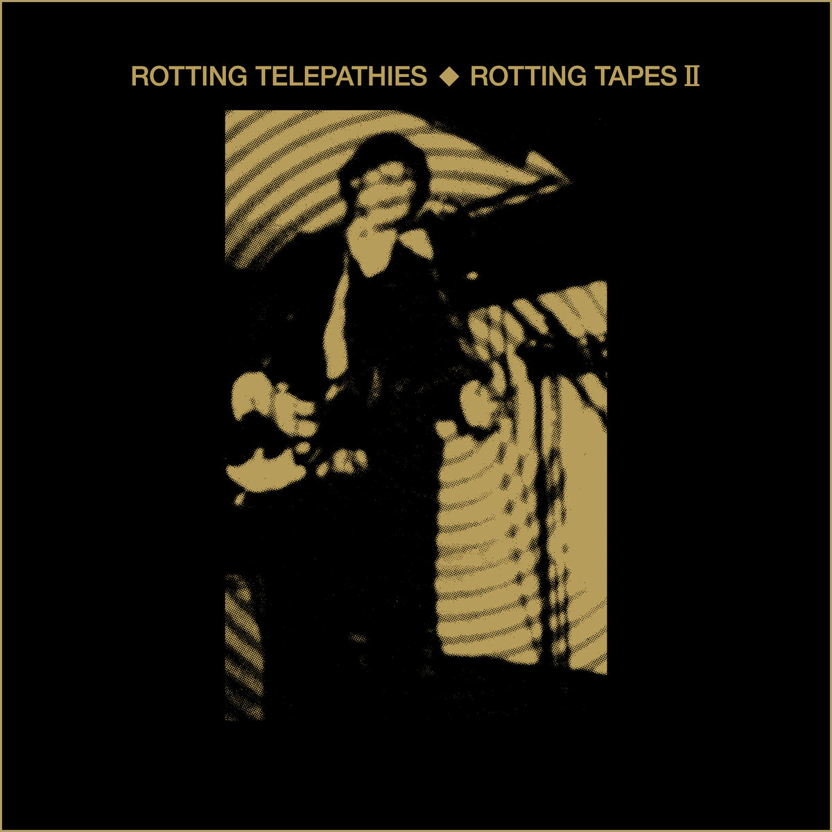 邦楽 ROTTING TELEPATHIES Rotting Tapes II(LP) a3810065443_10.jpg