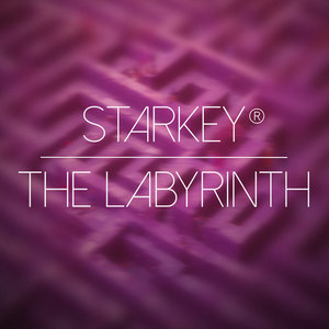 The Labyrinth cover