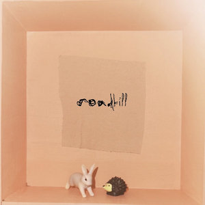 Roadkill cover