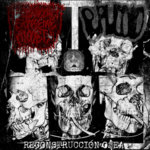 Puruloid, HxExA - HxExA / Puruloid Split