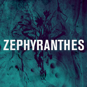 Zephyranthes EP cover