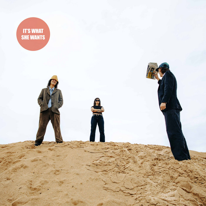 Pochette de It's What She Wants par Cammy Cautious and the Wrestlers