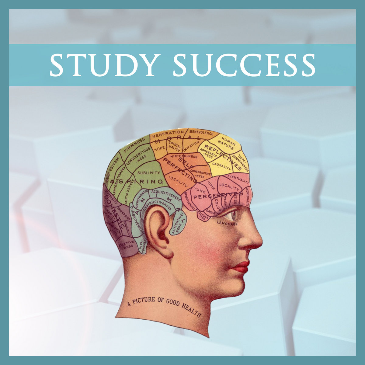 Successful Study Program Study Success | Peaceful Piano