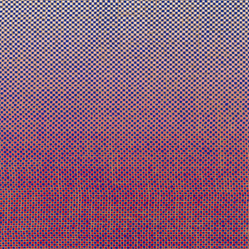 Mary Halvorson & Ambrose Akinmusire - Slo-Mo Neon Luminate Hoverings