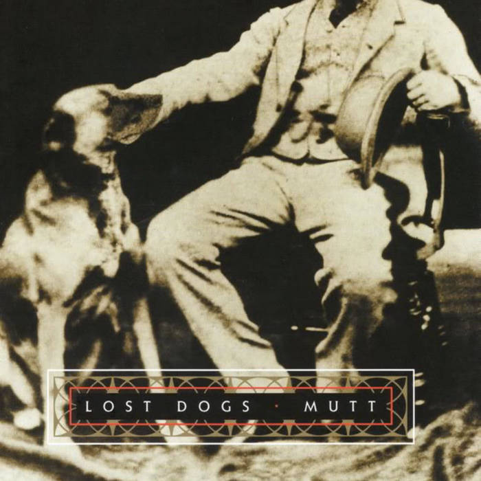 Mutt The Lost Dogs
