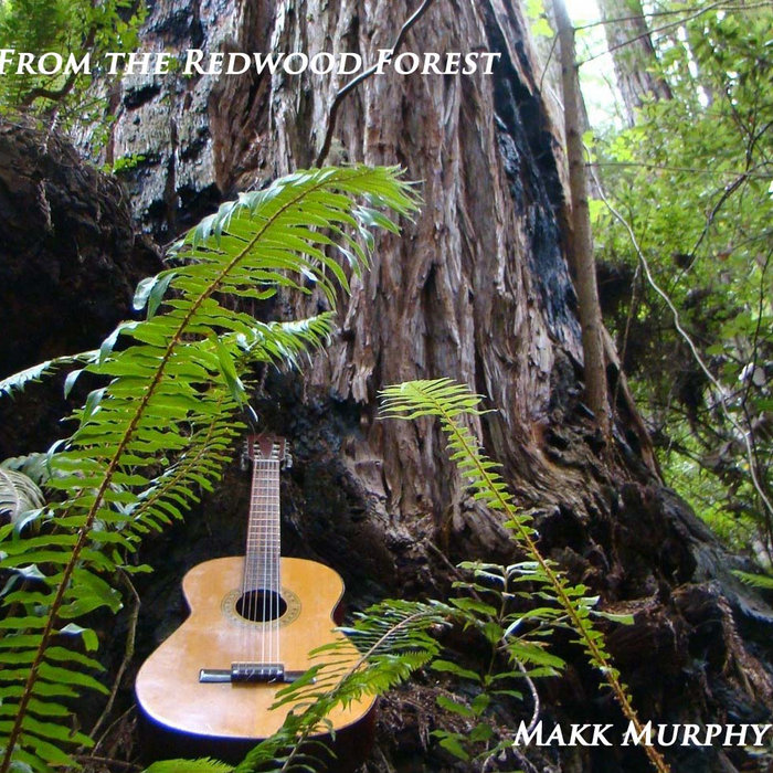 The Ether-Soaked Rag | Makk Murphy