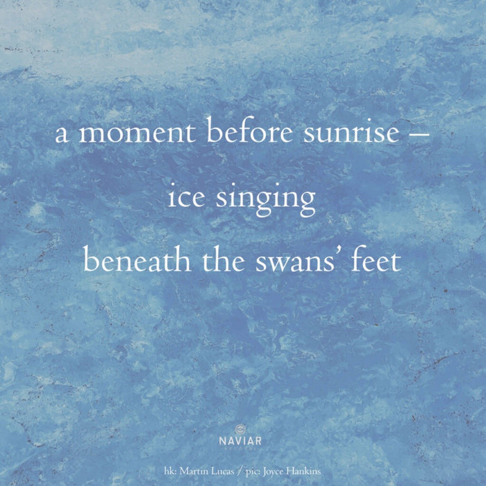 Unexpected NAVIARHAIKU642, by John Wright