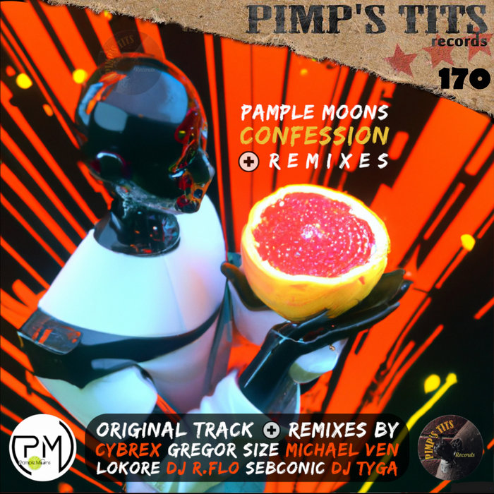 Pample Pample Moons - Confession | Pample Moons | Pimp's Tits Records