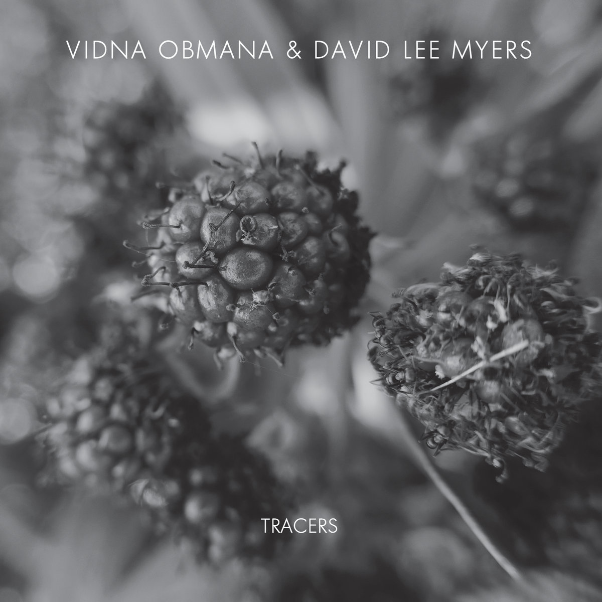 【１着でも送料無料】 VIDNA | Tracers OBMANA Zoharum | MYERS LEE DAVID & アート・デザイン・音楽