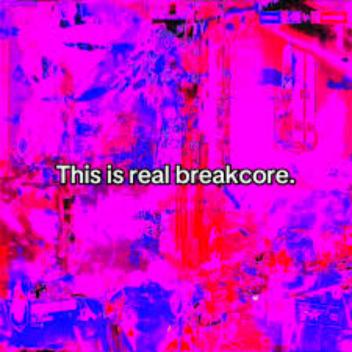 This is real breakcore. | datamusik | rack started