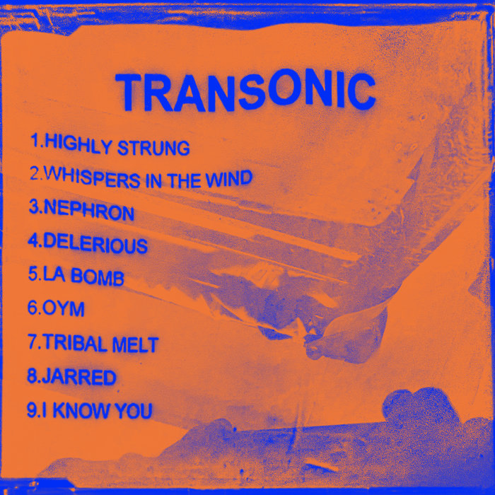 Transonic - Quietman Mixes 1999 | Quietman | Black Unicorn Recordings