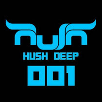 Hush Deep Presents Cool People cover art