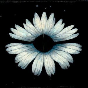 Daisy Chain cover