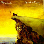 Bird Dog