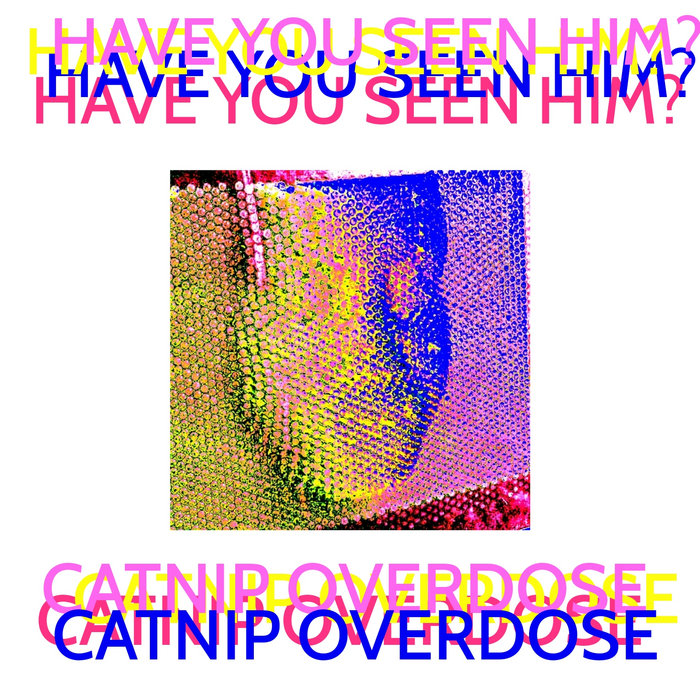 Have You Seen Him? Catnip Overdose