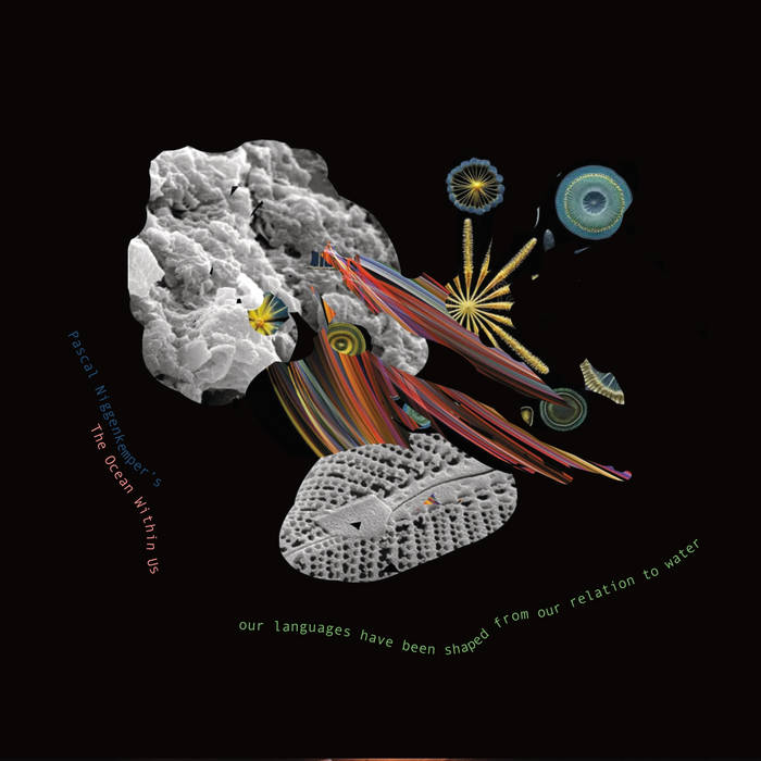the ocean within us | Pascal Niggenkemper, Sakina Adbou, Liz
