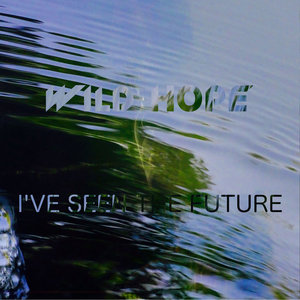 I've Seen The Future cover