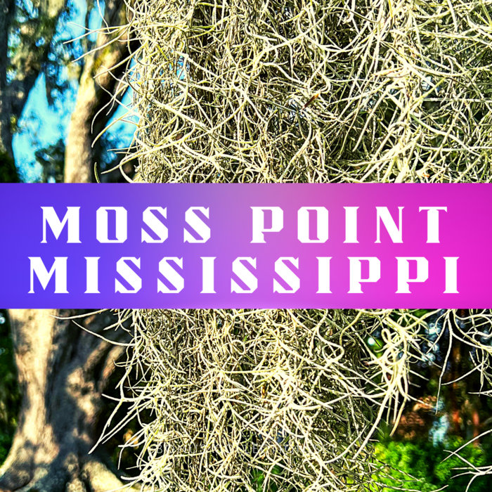Moss Point Mississippi Don Smith