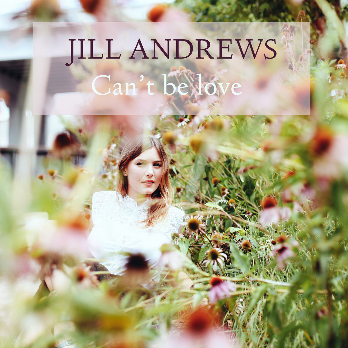 Can't Be Love Jill Andrews