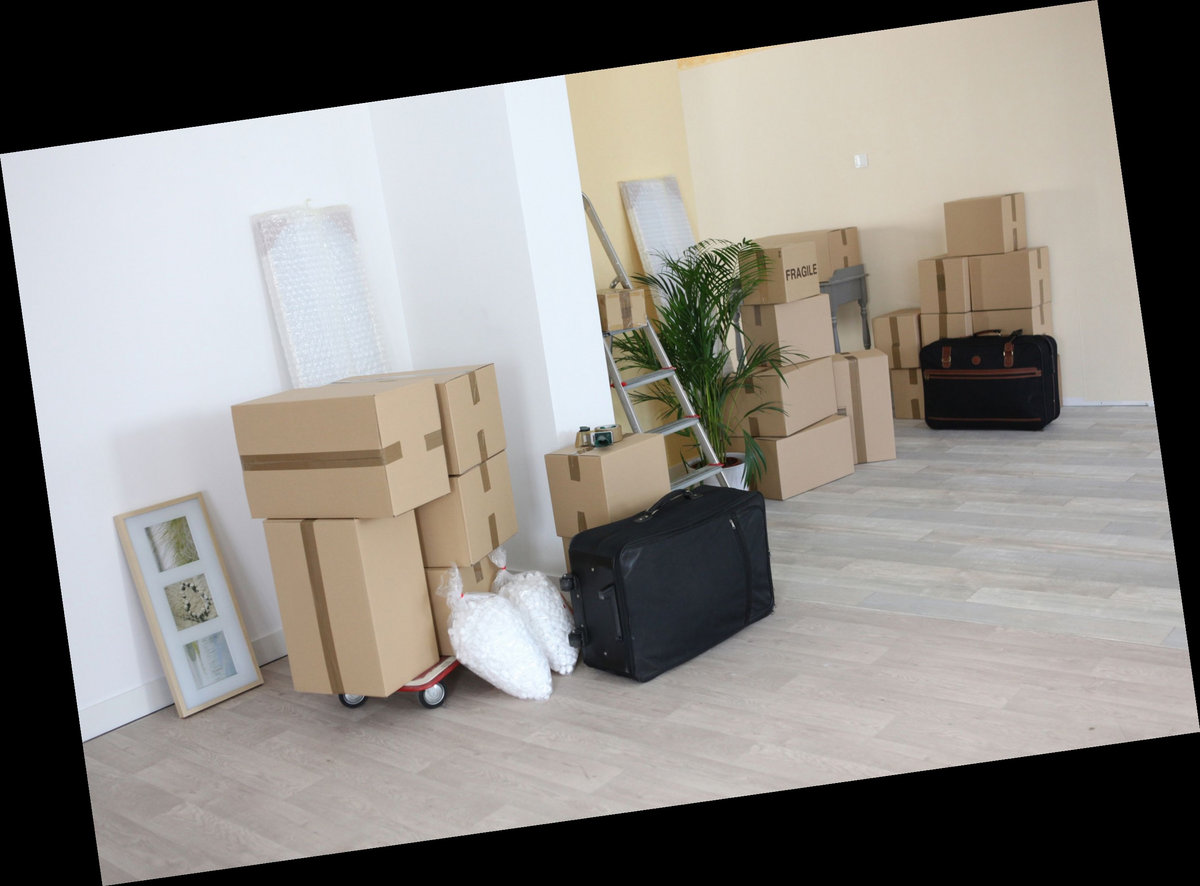 little movers big pack