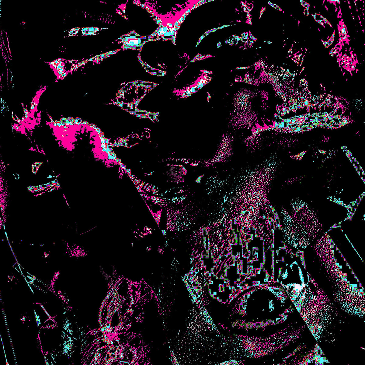 THE ACOUSTIC ASSEMBLY EP 1 | Various Artists | Skitnaste