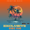 INFRARED X WE FLY HIGH -VYBZ KARTEL X MASICKA X JIM JONES (REMIX)
