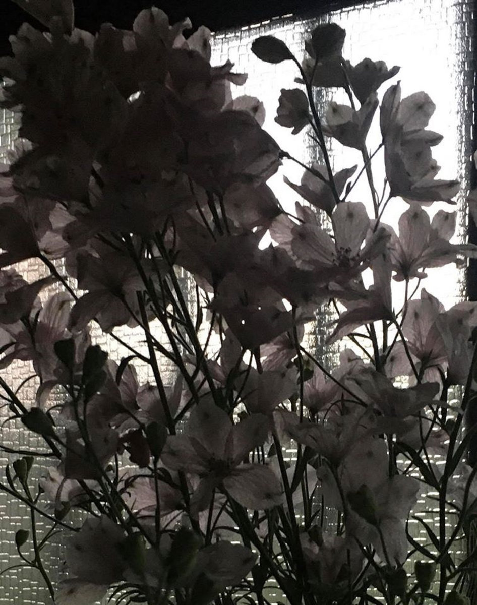March, April, May, June 2020 | tori kudo