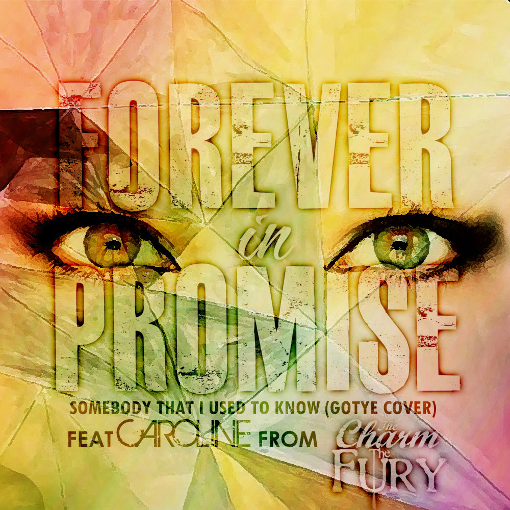 Somebody That I Used To Know (GOTYE Cover) | Forever In Promise