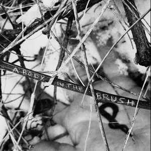 Plasticstatic — A Body In The Brush