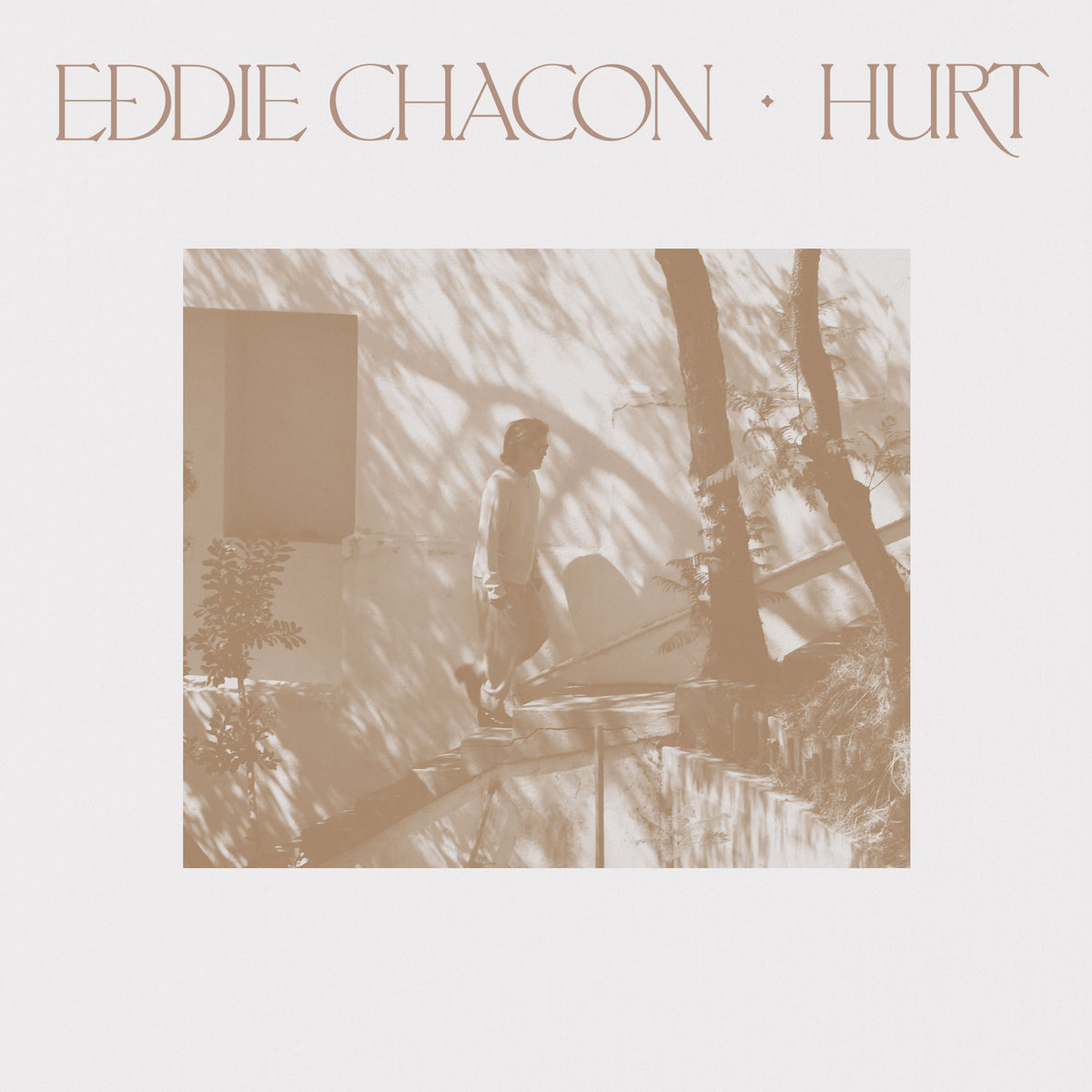 洋楽 Eddie Chacon PLEASURE, JOY AND HAPPINESS Pleasure, Joy and Happiness | EDDIE CHACON