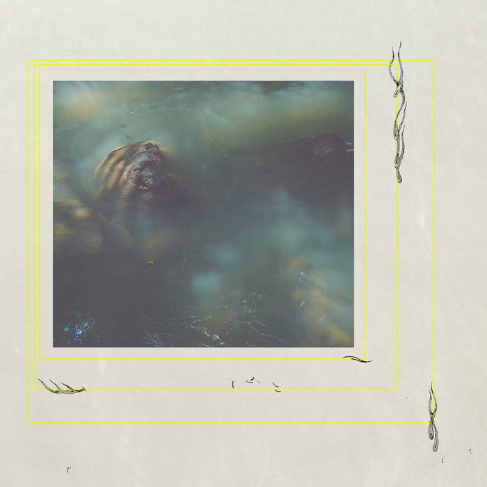 Untitled | Cortex of Light | Communion