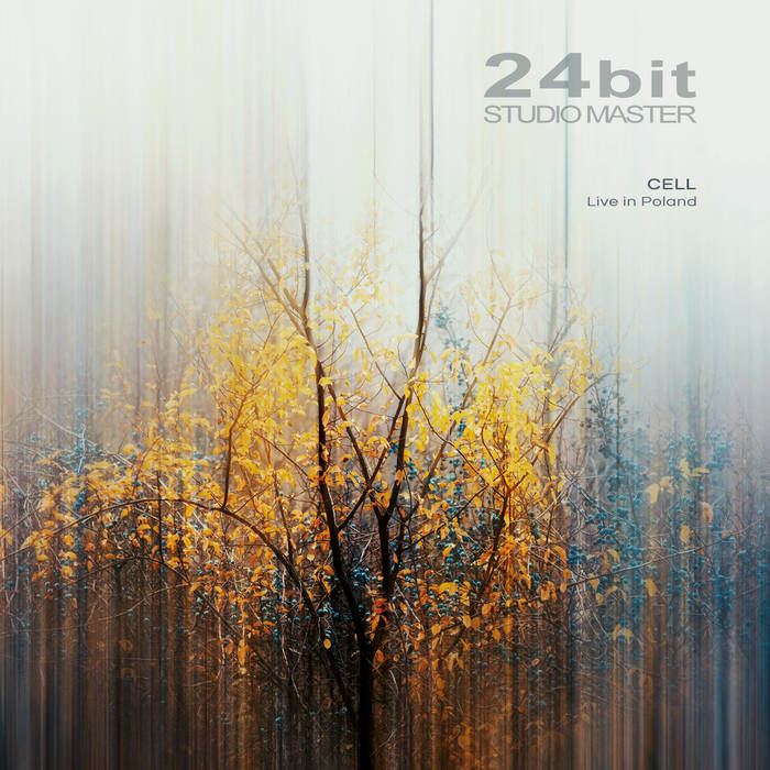 Onwards System (2026 Live Edit) - 24bit di CELL