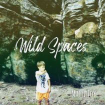 Wild Spaces cover art
