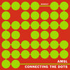 Connecting The Dots (AMSL Mix)