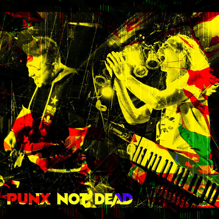 Punx Not Dead, by Super Fun Down Under